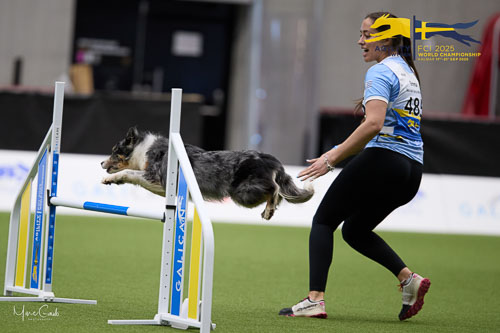 Individual Intermediate