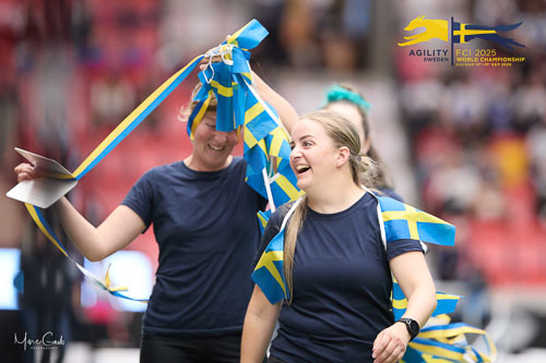 Individual Intermediate