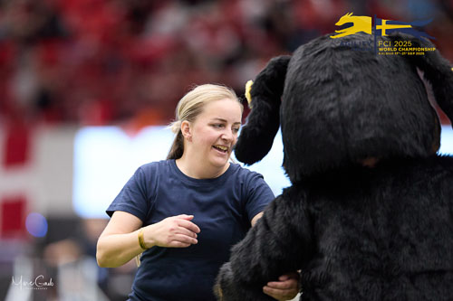 Individual Intermediate