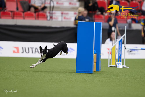 Individual Intermediate